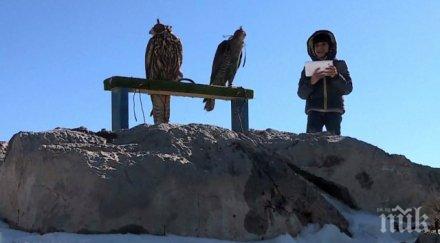 араби чакат часове видят сняг