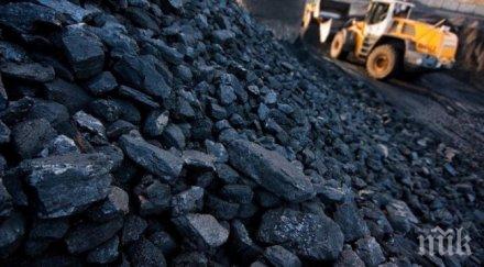 последния месец пелети въглища дърва поскъпнаха