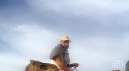 цирк топмафиот подкара камила охрана