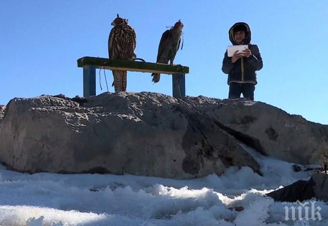 Араби чакат с часове да видят сняг