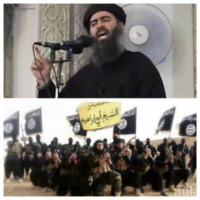 ИЗВЪНРЕДНО В ПИК! Откриха и блокираха главатаря на „Ислямска държава”