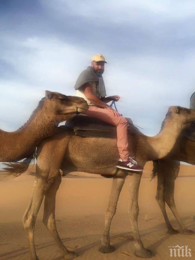 ЦИРК! Топмафиот подкара камила с охрана 