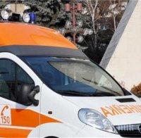 черна вест убиха любима педиатърка зебра варна