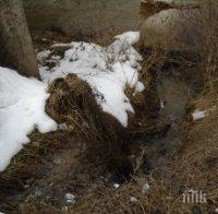 Трънчани алармират: Фекалиите на града се изливат директно в река Ерма (СНИМКИ)