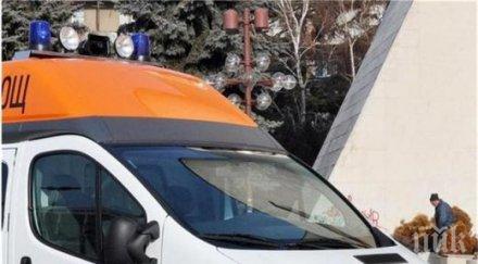 черна вест убиха любима педиатърка зебра варна