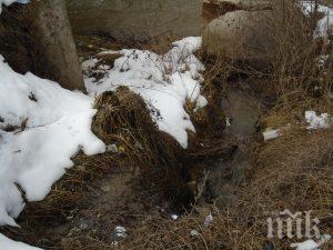 трънчани алармират фекалиите града изливат директно река ерма снимки