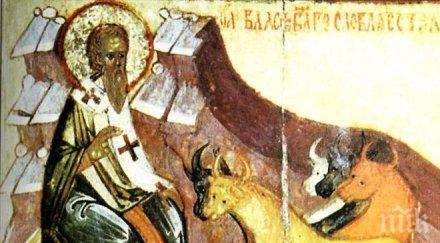 свят празник пече блага питка