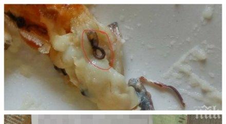 гнусно жена купи риба нея откри изненада червей