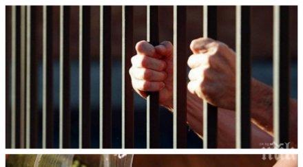 прокуратурата погна британец пампорово марихуана хотелската стая