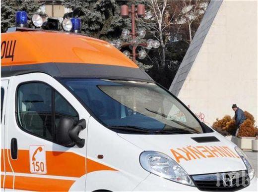 ЧЕРНА ВЕСТ! Убиха любима педиатърка на зебра във Варна 