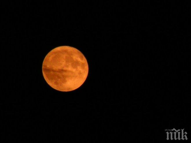 Днес всичко каквото правите, ще ви се получи добре