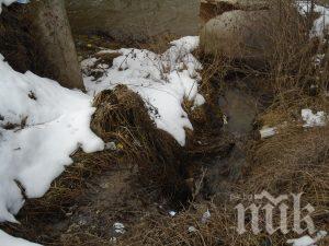 Трънчани алармират: Фекалиите на града се изливат директно в река Ерма (СНИМКИ)