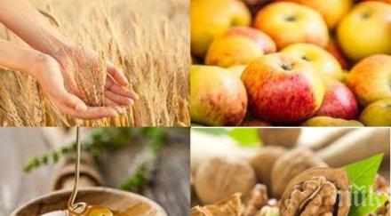 пречистим житния режим дънов