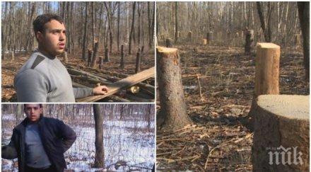 пълен абсурд полицията скръсти ръце масовата сеч западния парк била престъпление