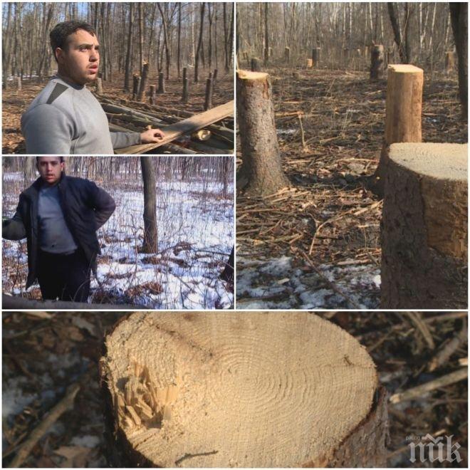 ПЪЛЕН АБСУРД! Полицията скръсти ръце – масовата сеч в Западния парк не била престъпление!