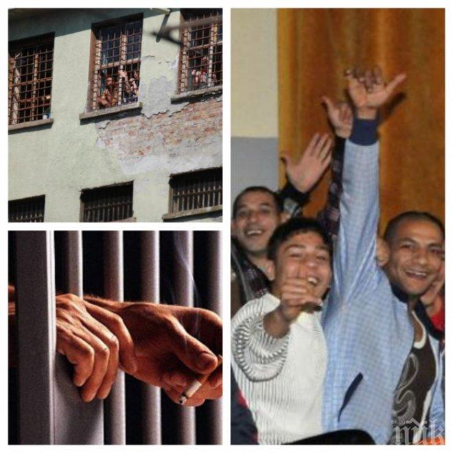 Рецидивисти-кокошкари пълнят два затвора у нас