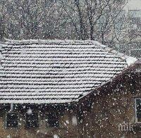 ИЗВЪНРЕДНО В ПИК! Снегът се завръща! Парцали валят над София (СНИМКИ/ВИДЕО/ОБНОВЕНА)
