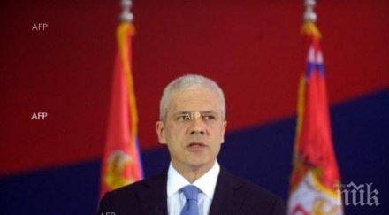 борис тадич все късно йеремич янкович решат двамата кандидатира президент сърбия