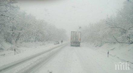 бедствие монтана видин никой чисти