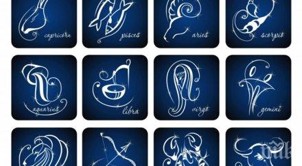 седмичен хороскоп февруари очаква представителите всяка една зодиите