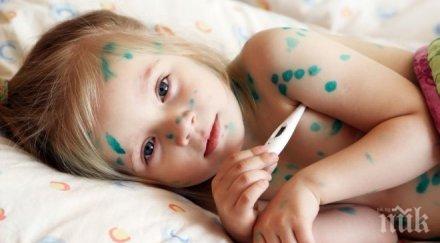 краста пламна детска градина