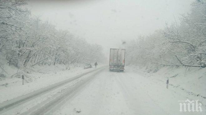 Бедствие на Е-79 между Монтана и Видин, никой не чисти!