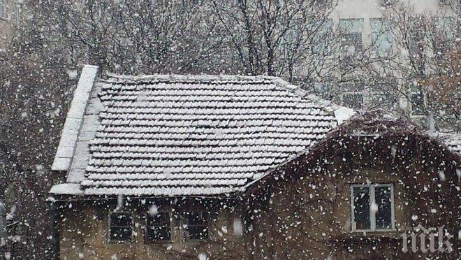ИЗВЪНРЕДНО В ПИК! Снегът се завръща! Парцали валят над София (СНИМКИ/ВИДЕО/ОБНОВЕНА)