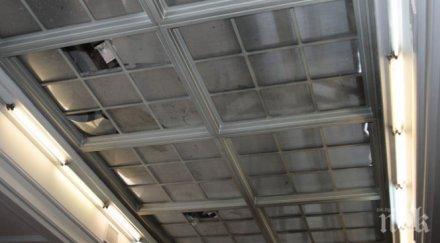 облепиха тиксо покрива националната библиотека