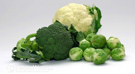 дълъг живот яжте 800 грама плодове зеленчуци ден