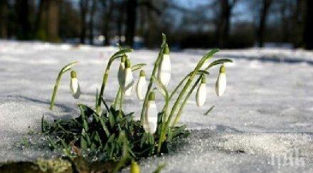 пролетта настъпва упорито градуса
