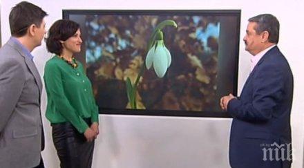 ексклузивно топклиматологът доц рачев разкри времето март