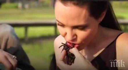 шок анджелина яде тарантули видео