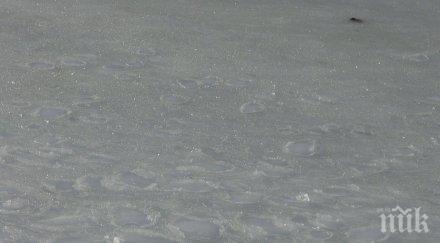 тревога бракониери унищожават морското дъно лозенец снимка