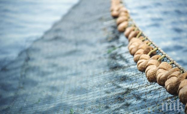 Рибарите излизат отново на протест