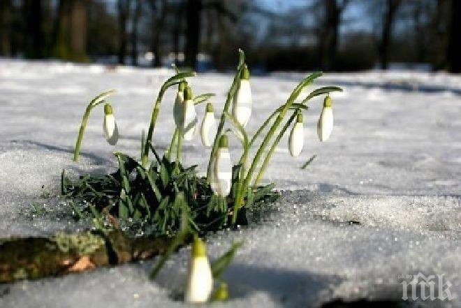 Пролетта настъпва упорито! До 21 градуса утре