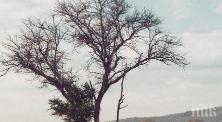 донорската конференция осло 634 млн евро бедстващите региони централна африка