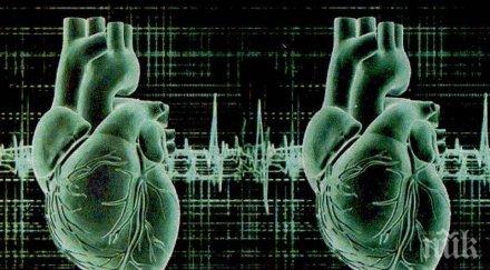 скоро появи нова човешка раса хора две сърца