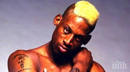 хем негър хем педал мечтата соросоида