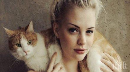 безценни съвета вашата котка