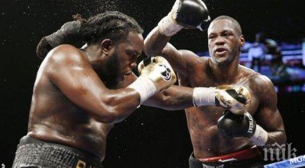 задължиха звяра уайлдър бие стивърн