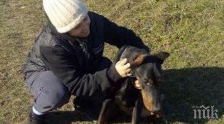 последна надежда откраднаха доберманите млада жена година предлага 2000 лева награда върнат