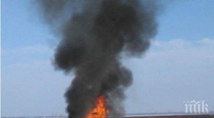 броят жертвите алжир расте