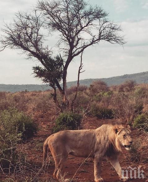  Донорската конференция в Осло: 634 млн. евро за бедстващите региони в Централна Африка