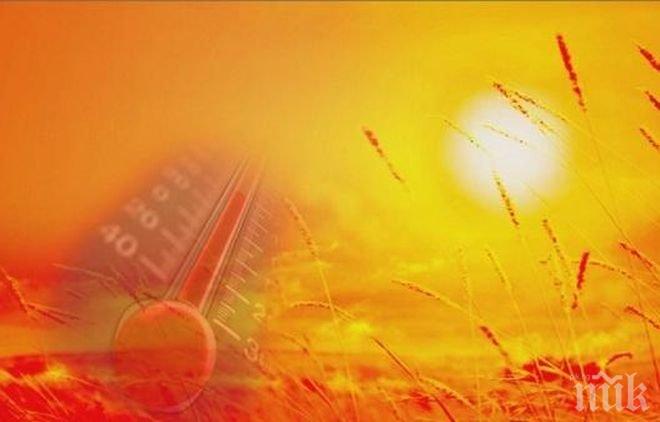 В Буенос Айрес бият червена тревога заради огромни горещините