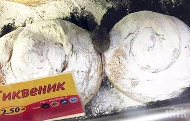 ГНУСНО! Мишка се разхожда сред закуските в заведение в Хасково (СКАНДАЛНА СНИМКА)