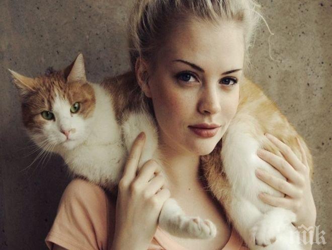 10 безценни съвета от вашата котка  