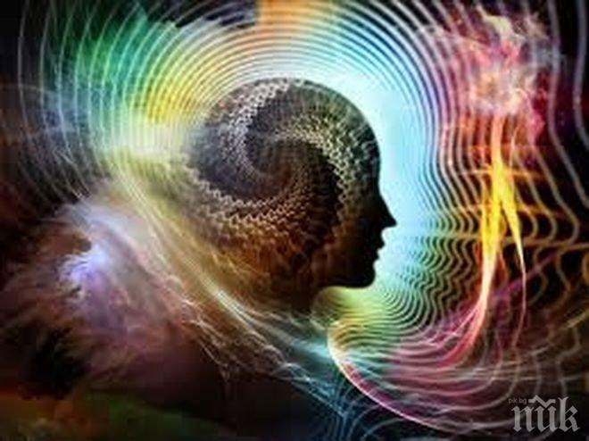 ЕВРИКА! Учени успяха да обяснят халюцинацията!