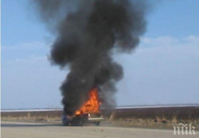 Броят на жертвите в Алжир расте