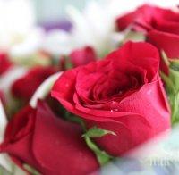 ИЗНЕНАДА! За 8-ми март “подарете” здраве!