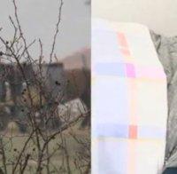 Жестока саморазправа! Роми пребиха с колци и ритници горски служители 